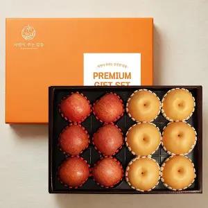 [감동]자연의감동 혼합과일 9호 사과6개+배6개 5kg 내외 과일선물세트