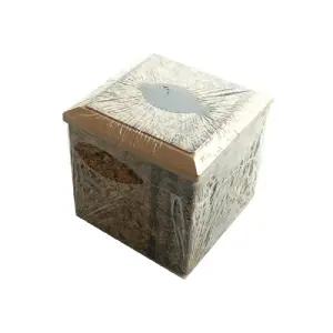 신한 목향 깊은 네프킨함 원목 한글내프킨 냅킨함 냅킨통 테이블 꽂이 네프킨 케이스 킨케이스 업소함