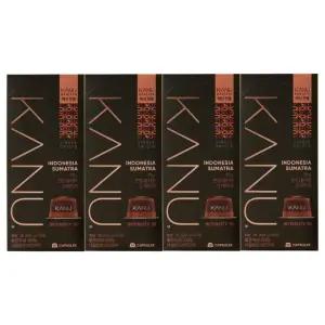 카누 바리스타 전용 캡슐 커피 싱글 오리진 인도네시아 수마트라 10개입 4팩