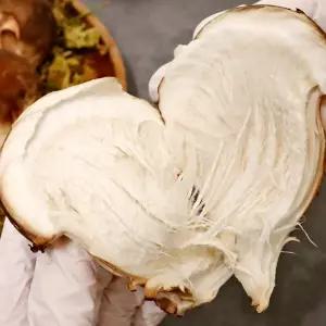 참송이버섯 1kg(상)