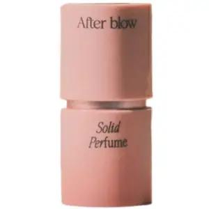 애프터블로우 우디 피그 솔리드 퍼퓸 고체 미니