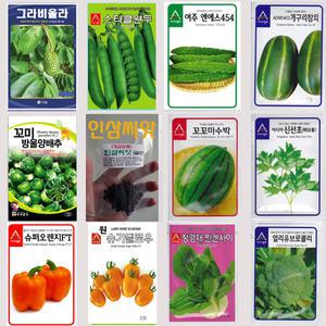 씨앗130종/허브/새싹/약초/버터헤드/고수/스위트바실/궁채나물/공심채/방울양배추/그라비올라/그린빈스/물