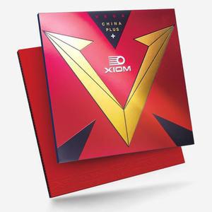 엑시옴 베가 차이나 플러스 / 점착형 중국선수사용 탁구 러버