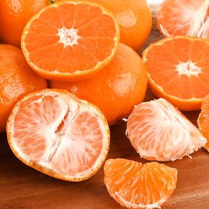 대용량! 제주 노지 감귤 10kg (2S-M) 박스포함