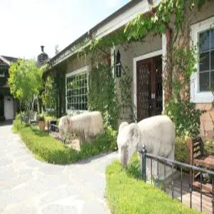 [경기] 연천 허브빌리지(경기, 연천)