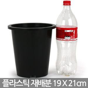 중형 플라스틱 재배분 19 X 21cm - 원형 화분 플분 녹차 양란 난화분 란화분 난재배분 양란화분 난재배 녹