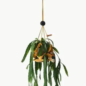 [무케] _행잉 식물 화분 팟커버 댕글 DANGLE) P 옐로우 벽걸이화분 행잉플랜트 인테리어