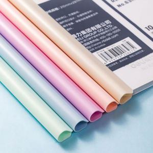 A4 파스텔 투명 쫄대 파일 10개입 세트 (5컬러)