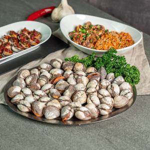 참꼬막 산지직송 제철 벌교 1kg