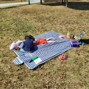 블루 체크무늬 방수 피크닉 매트 돗자리 중형 (WFGTDZT)