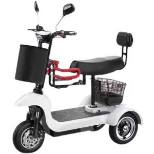 세발 전기자전거 오토바이 삼발이 충전 노인 전동차