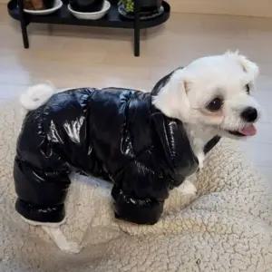 강아지 롱패딩 애견 산책 야외 경량 소프트 유광 (WFJ5WK7)