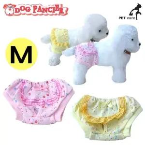 랜덤 팬티 M 애완용품 생리 (WFJS5WO)