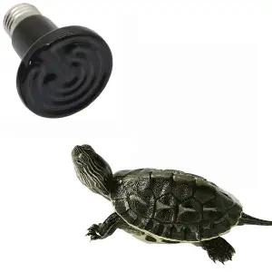 온열등 파충류 히팅조명 히트 램프 애완동물 거북이 뱀 도마뱀 세라믹 발열 전구 25w/50w/75w/100w 무광 원