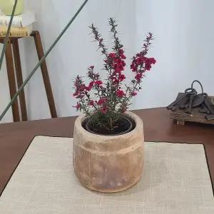 테라원 빈티지 아쿠아 토분 HN30414 12x14cm 미니Jar분갈이화분 홈가드닝 식물키우기 인테리어 가벼운 용기