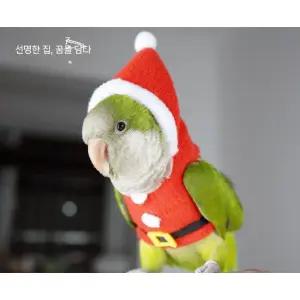 앵무새옷 앵무새리드줄 커버 의류 코뉴어 후드 깃털