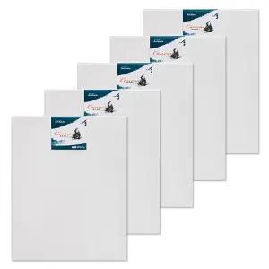 아트메이트 전문가용 면천 캔버스 F형 20호 1BOX(5개입)