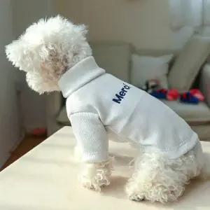 강아지 부드러운 심플 기본 베이직 목폴라 터틀넥 WDE6AD4