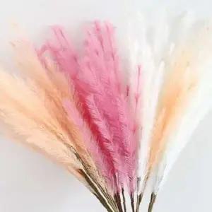 쌍문상회 핑크뮬리 조화 팜파스 꽃 갈대 4coor 인테리어