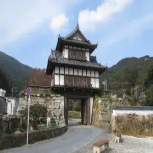 일본 대마도 패키지 1박2일 투어 이즈하라 히타카츠 씨플라워