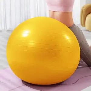 홈트레이닝 코어 운동 라이프업 짐볼 65cm