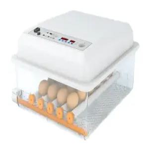 병아리 부화기 계란부화 키우기 가정용 온도조절 육추기 부화 유정란 병아리부화기