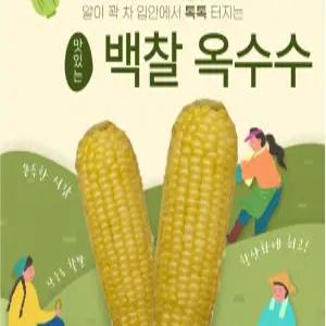 쫀득한 백찰 옥수수 냉동 삶은찰옥수수 10입 내외