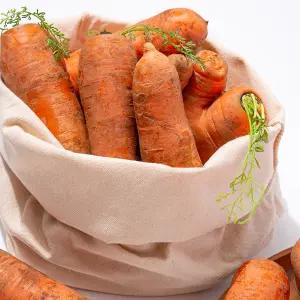 [더조은푸드] 제주 구좌 당근 못난이 주스용 10kg 랜덤크기 실속형 대용량