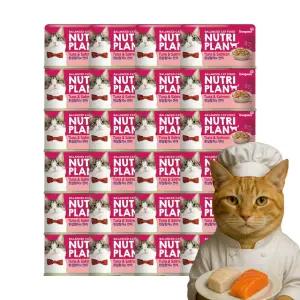 동원 뉴트리플랜 고양이캔 흰살참치와연어 160g 24개