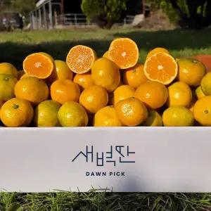 [제주직송] 서귀포 조생 감귤 9kg 대과 (L-2L)