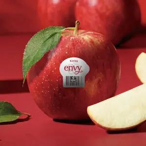 고당도 특품 맛있는 엔비사과 소과