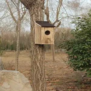 원목 새 둥지 통나무 부화장