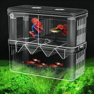 [콩심팥심]멀티 구피 부화통 2칸 열대어 부화통 치어 어항 대형 번식
