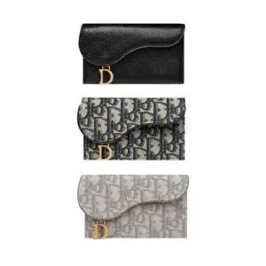 MUST IT_디올 Saddle Cosmos 지퍼 카드 지갑 S5692CCEH_M900