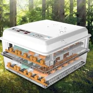 병아리 달걀 닭산란통 계란부화기 유정란 메추리 부화기 220V