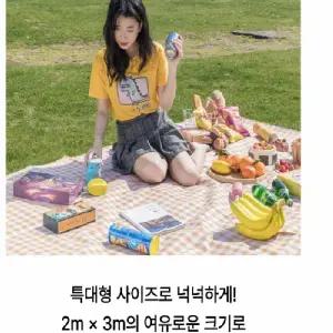 휴대용 특대형 돗자리 200x300cm 한강 피크닉 방수 캠핑