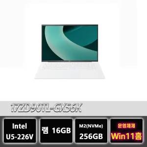 LG그램 17ZD90TL-GX56K 16GB 루나레이크 U5 프리미엄 노트북 윈11홈설치