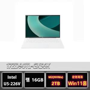 LG그램 17ZD90TL-GX56K 16GB 루나레이크 U5 프리미엄 노트북 2TB교체 윈11홈설치
