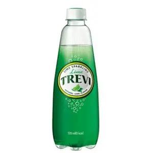 [하프클럽/기타]트레비 라임 300ml 20패트