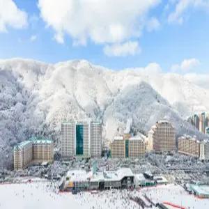 [강원 호텔] 소노벨 비발디파크 B , C (홍천,횡성)