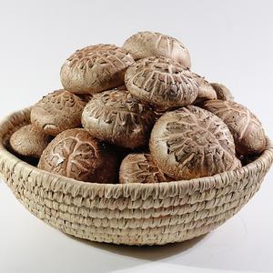 성화농장 친환경 생표고버섯 특사이즈 1kg/2kg