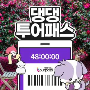 제주 반려견 동반 여행 댕댕투어패스 제주도 강아지 관광지 카페 핫플 체험