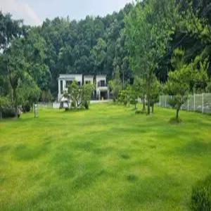 [강원] 원주 귀래630 애견풀빌라(강원, 원주)