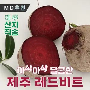 제주 햇 비트 레드비트 5kg 9-11개