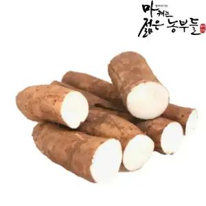 [마캐는젊은농부들] 마 안동마 장마 꼬마 초실속마 2kg  등급외파지