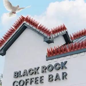 애완용품 조류퇴치 비둘기퇴치 실외기 버드스파이크 새둥지방지