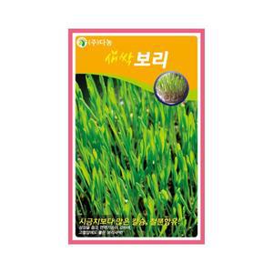 [기타]화분백화점 씨앗 꽃씨 잔디씨앗 배양토 모종판 나무씨앗 풀씨 (DN) 새싹 보리 씨앗(12g30g,)