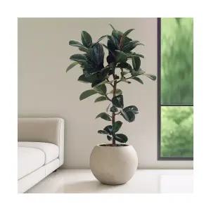 가지목인도고무나무 VIP대형 달항아리 공기정화식물 인테리어식물 승진화분 영전화분