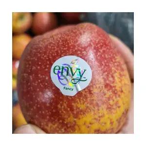 엔비사과(주스용) 주스용 랜덤과 10kg