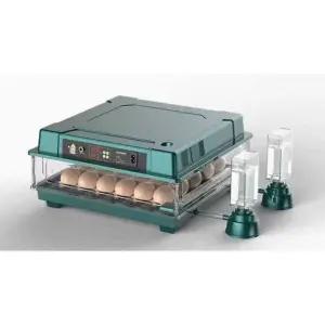 소형 부화기 알 달걀 메츄리 병아리 닭 조류